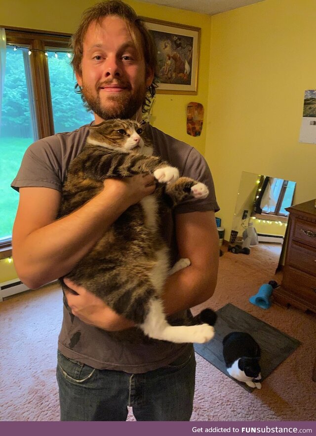 Good cat, no neck