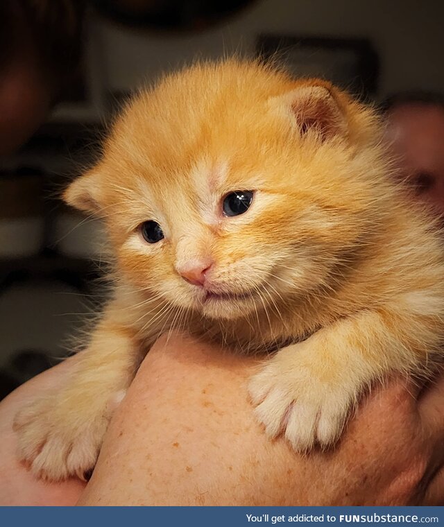 He opened his eyes just a couple days ago and has been smiling ever since