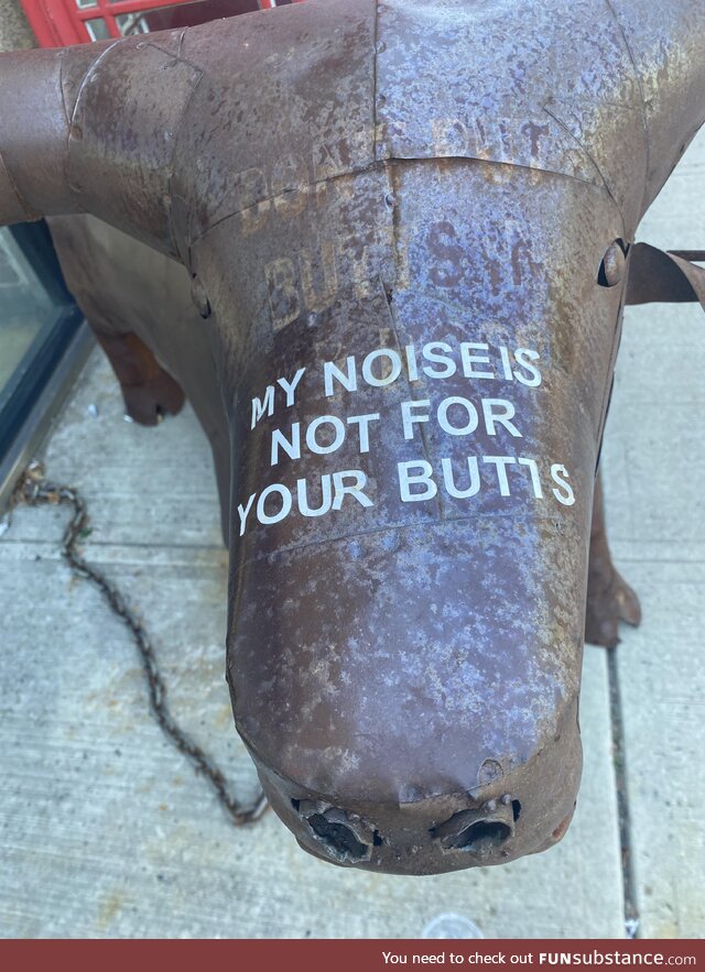 A wise bull’s advice