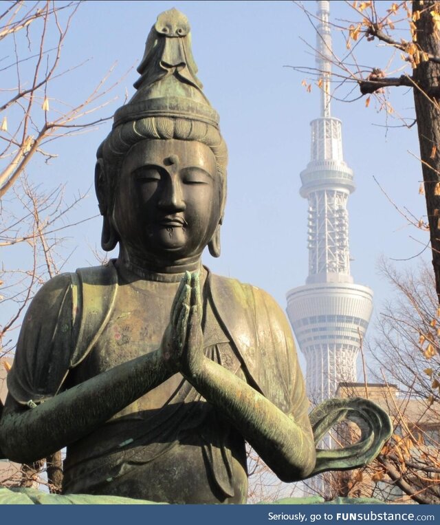 The Old and the New (Dec 2014 Tokyo)