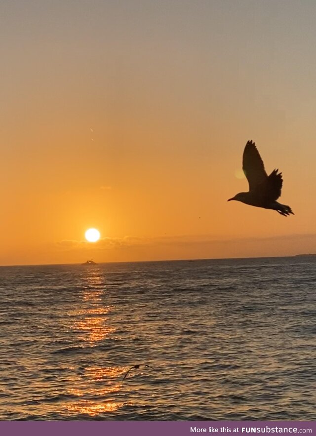 [oc] sunset