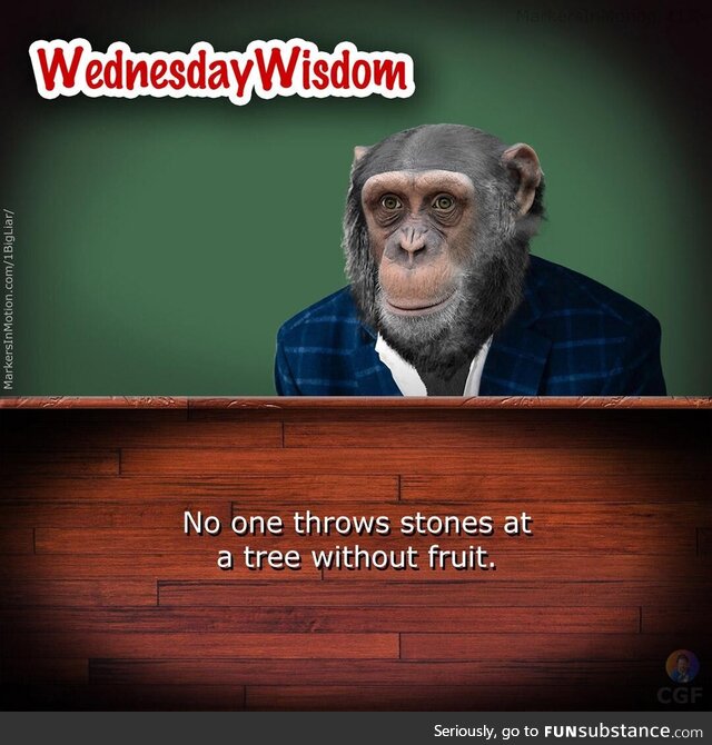 Wednesday with Barry Bigliar