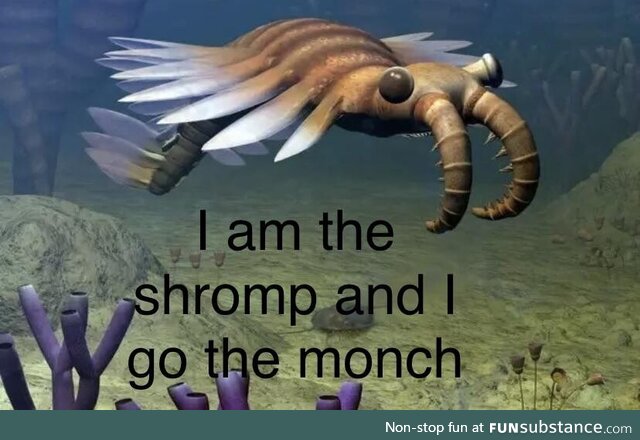 Take his advice be the shromp