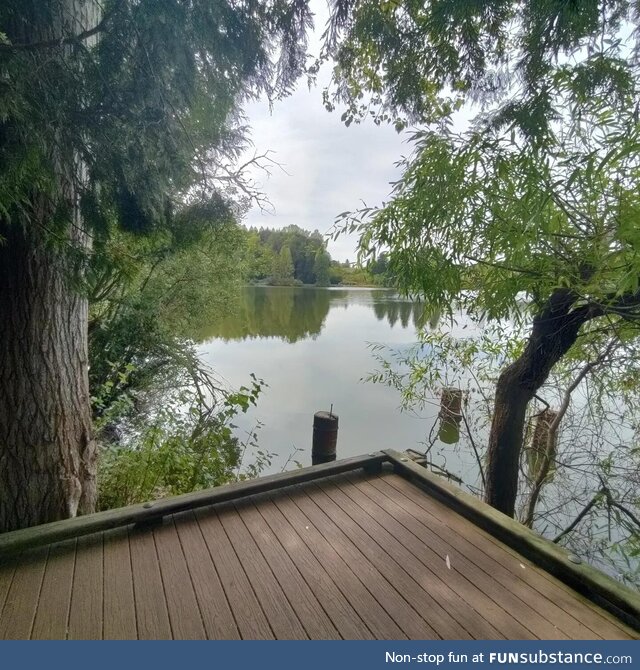 Nature is beautiful
