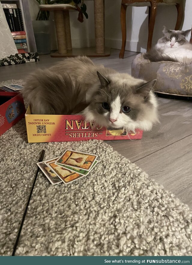 [OC] Settlers of Cat-an
