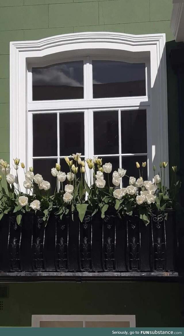 [OC] A pretty windowsill in Notting Hill