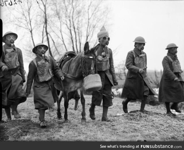 Group of indian soldiers arrive in france with gas masks and a mule