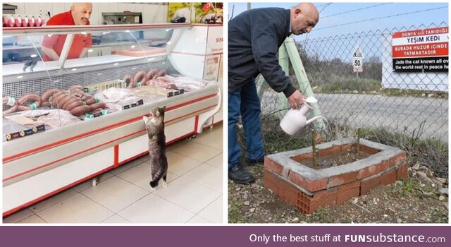 A touching tribute to shop’s iconic cat