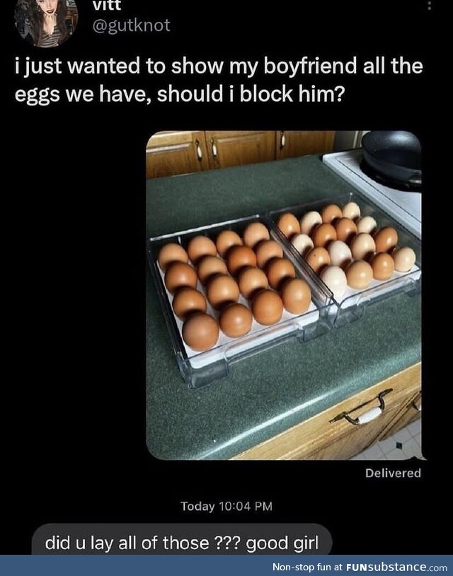 eggs