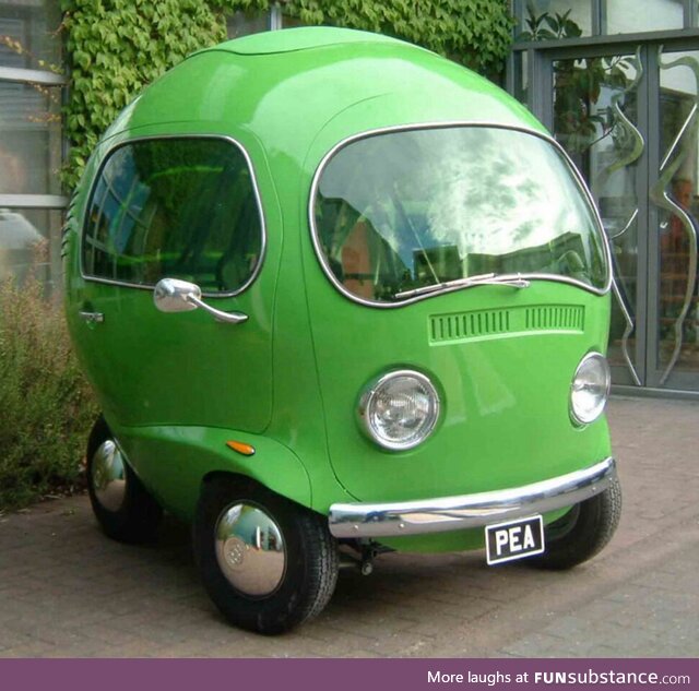 "Mom, can we get a green car. Maybe a Prius or Tesla?" / "We have a green car at home."
