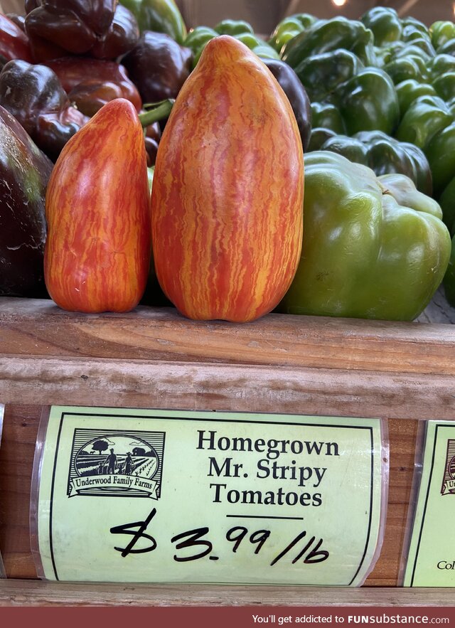 [OC] These “Mr. Stripy” tomatoes are appropriately named