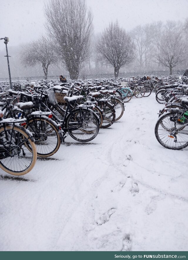 Weather in the southern Netherlands right now