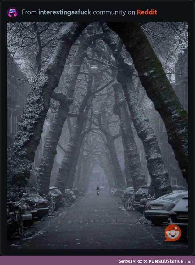 Street in Amsterdam