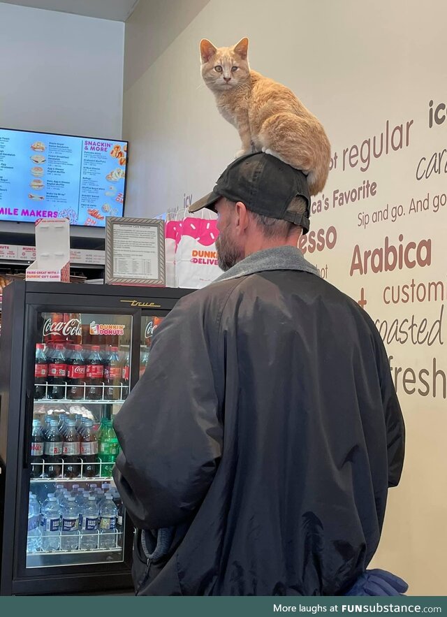 Cat? What cat?