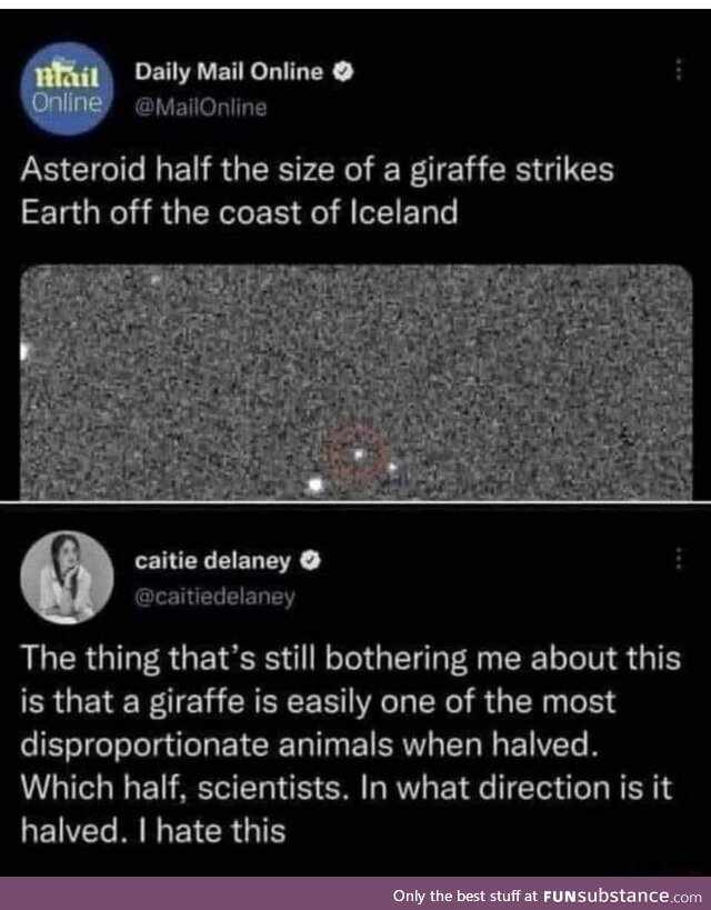 Awful odd wordless