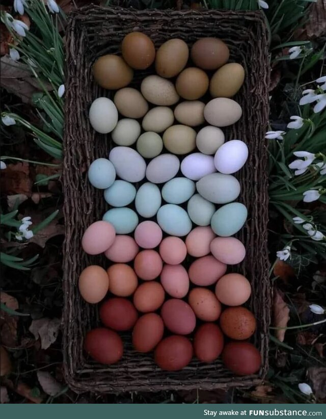 Spectrum of naturally colored eggs