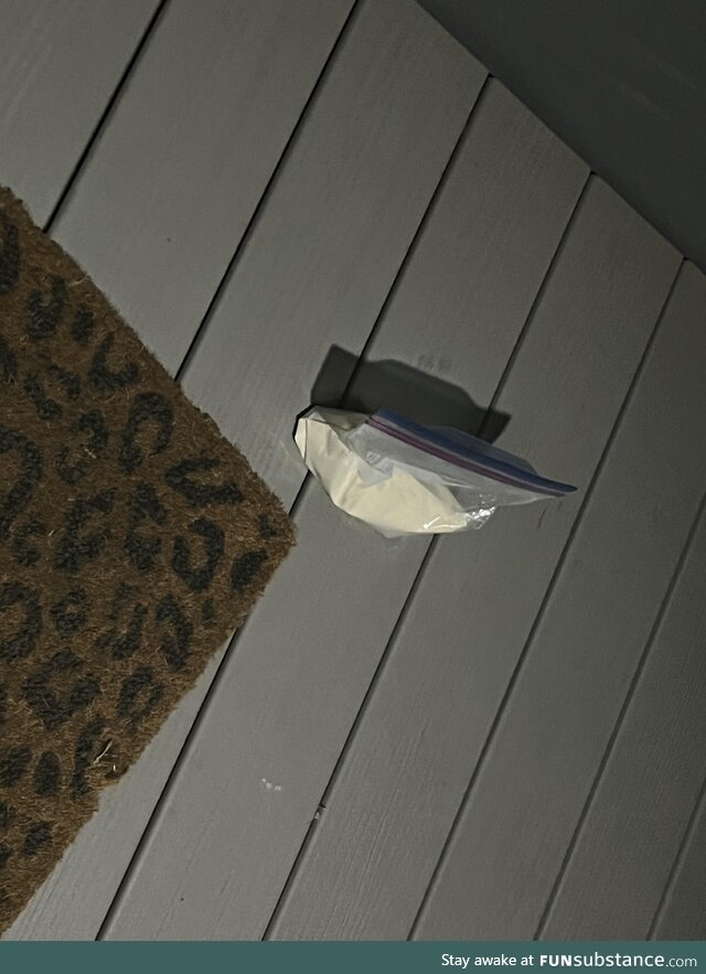 I left a bag of kitten formula on my porch for another foster to pick up and I realized