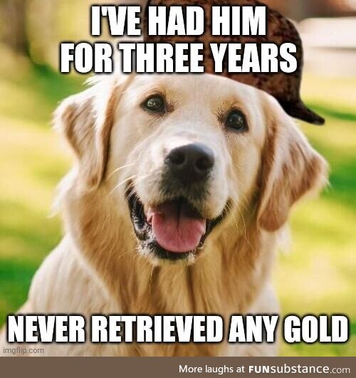 Scumbag golden retriever