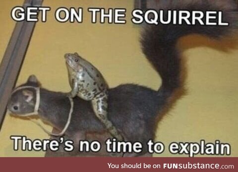 Well… saddle up!