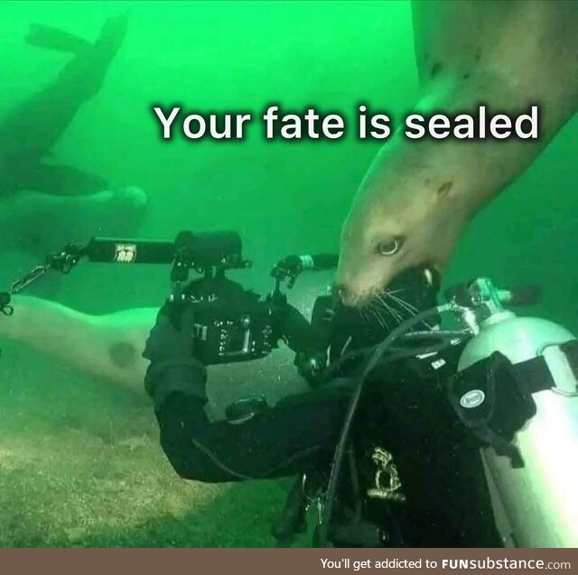 Seal team six