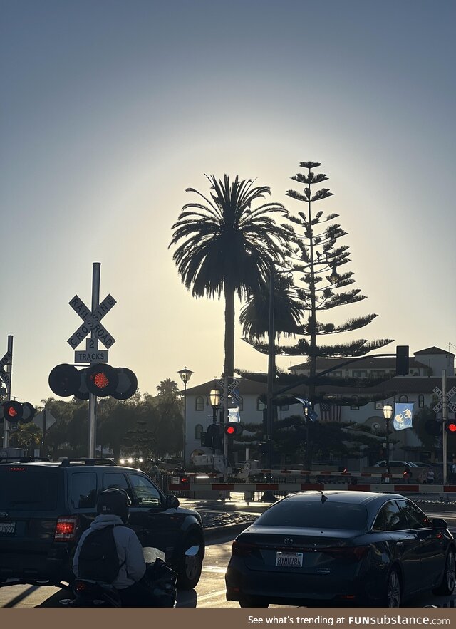 [oc] Took a cool pic of a sun behind a palm tree in Santa Barbara, Ca