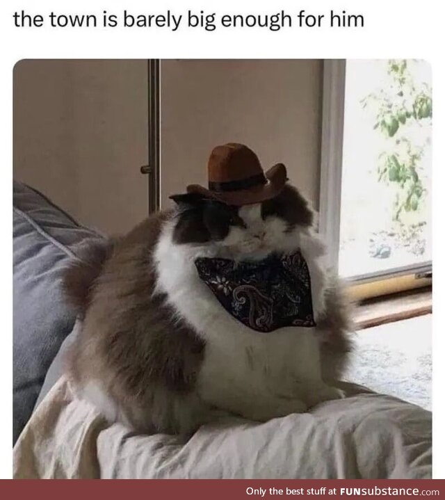 Big fat on his hip