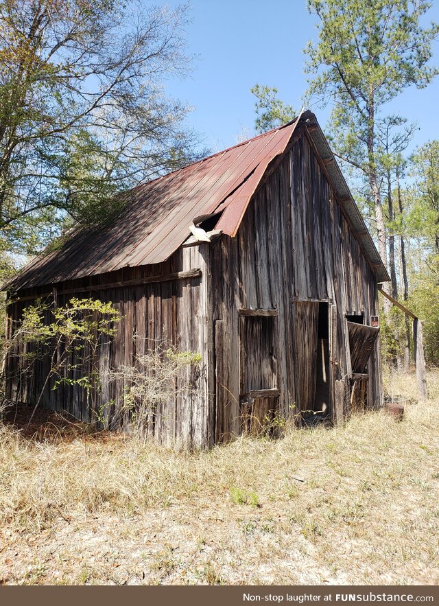 Found this old building while biking around nw florida