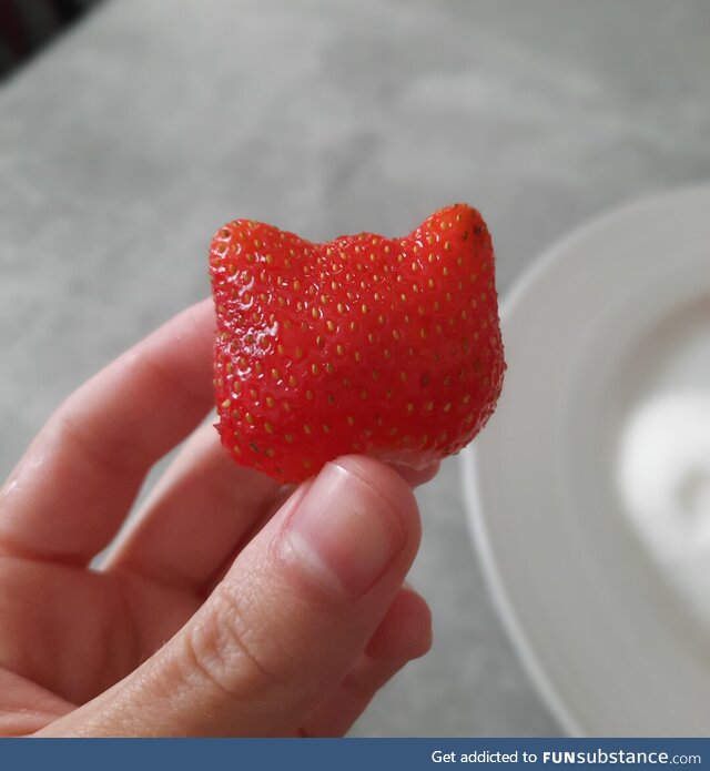 Cat shaped strawberry