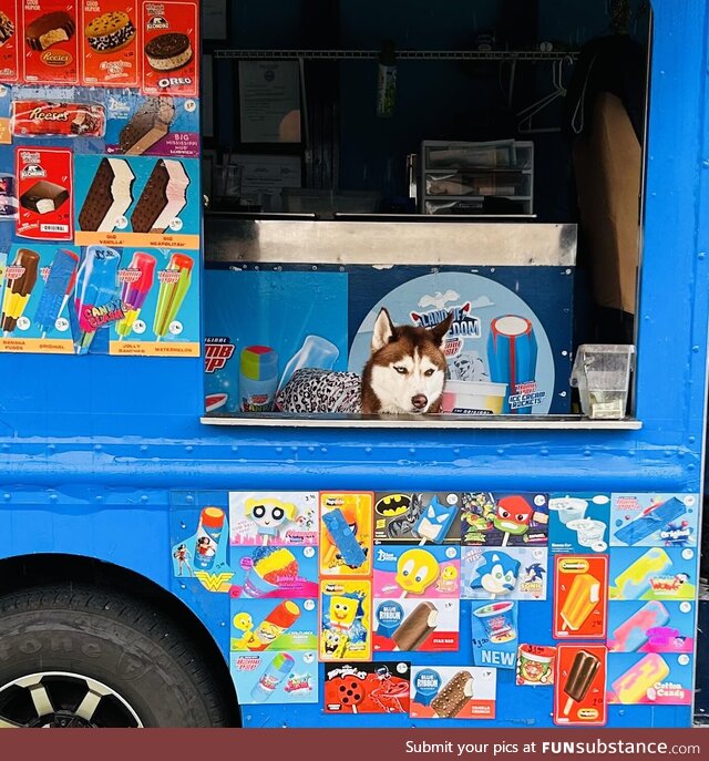 Sorry, we’re out of Frosty Paws