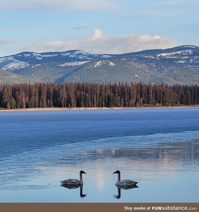 Cool morning by the lake