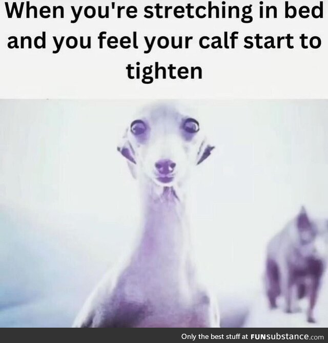 High absorbed elderly