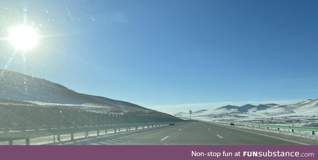 A couple of wolves on a highway in Mongolia. One on the left has an Eagle in it's mouth