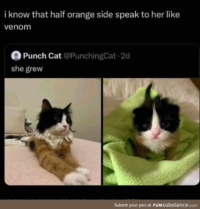 She has a shirt
