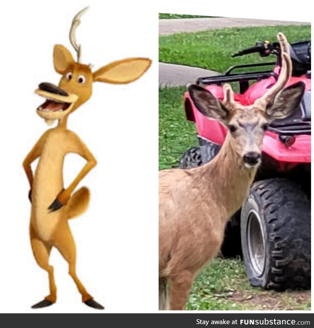 He's real!