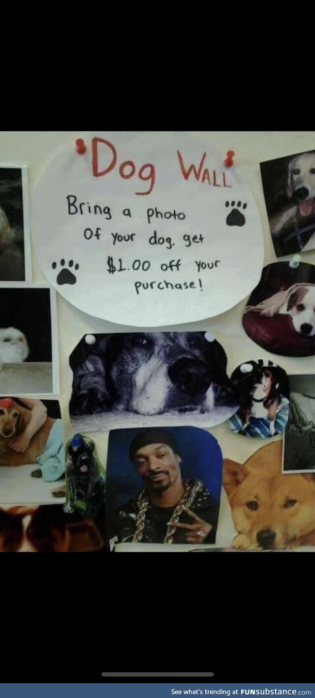 wooftothaizzle