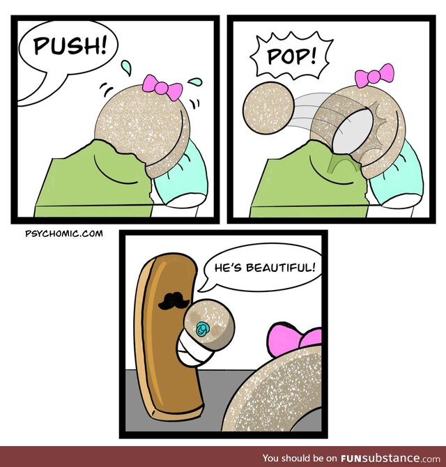 Donut