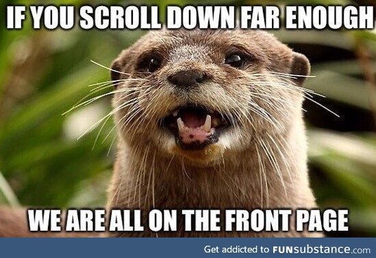 Wholesome otter