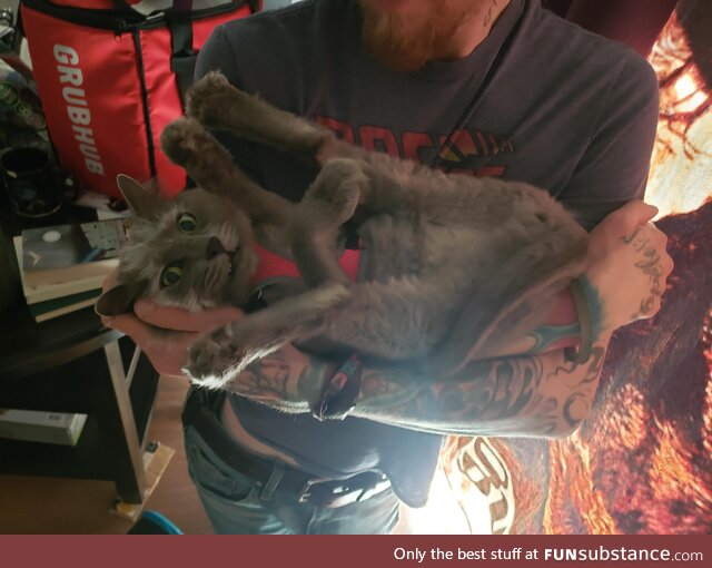 She loves being held like a baby but insists on stretching this way