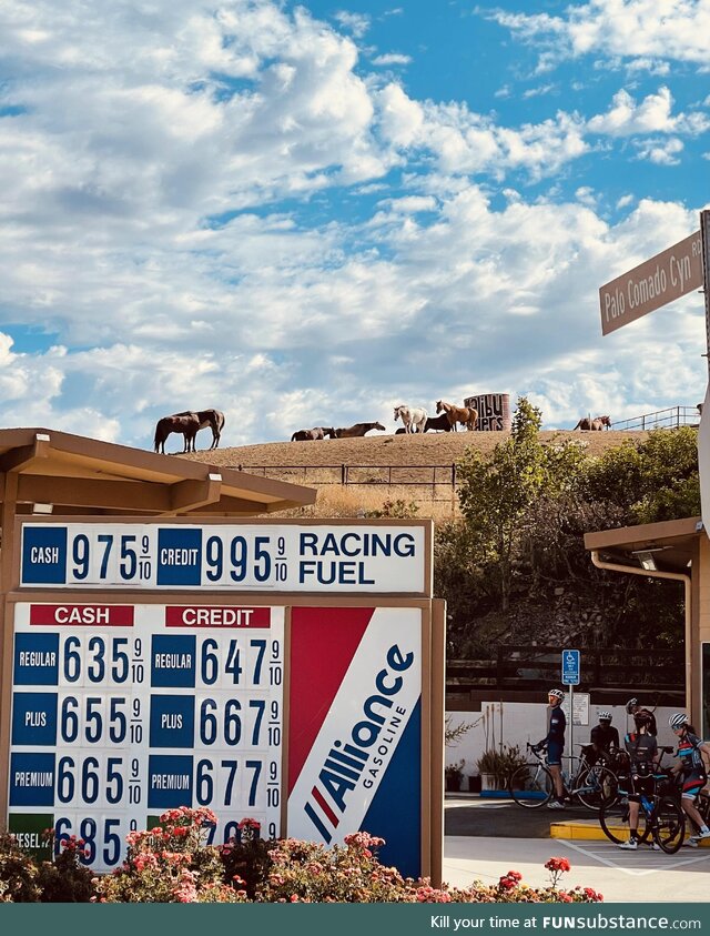 [OC] Transportation options for a beautiful CA day