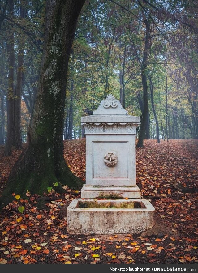 The old marble fountain in the forest on Oplenac hill in Serbia