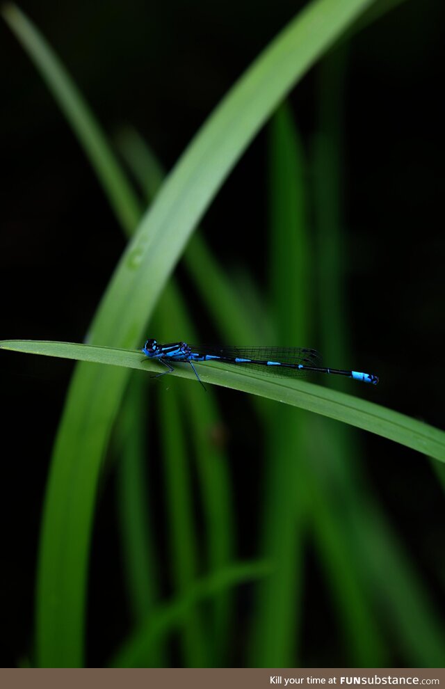Colours of nature