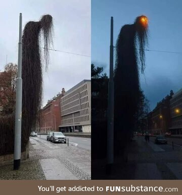 An overgrown lamp post In Poland