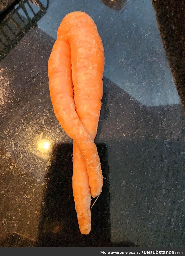 A very sexy carrot