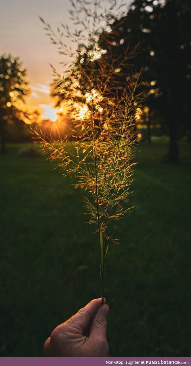 Good morning from Michigan
