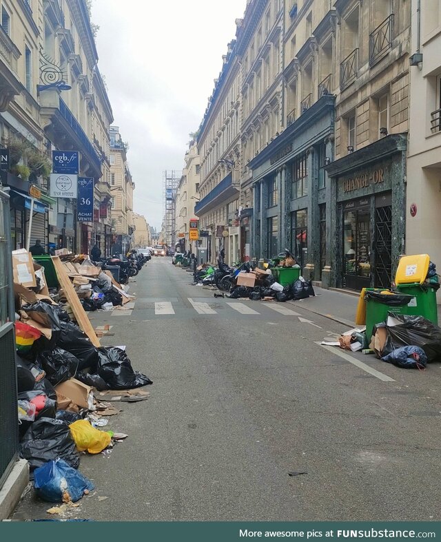 Street in Paris in the springtime