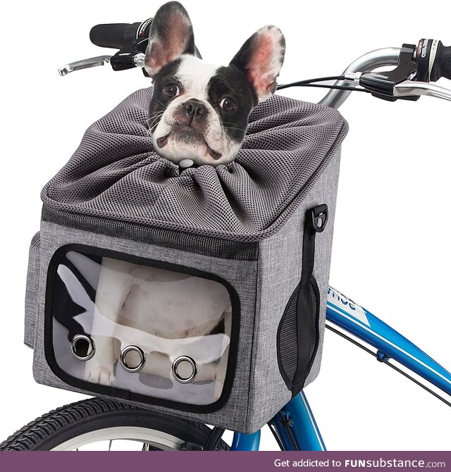 Dogcube