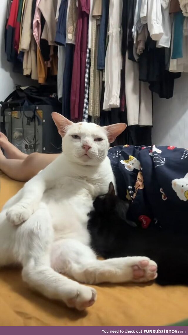 He looks so tired of his life