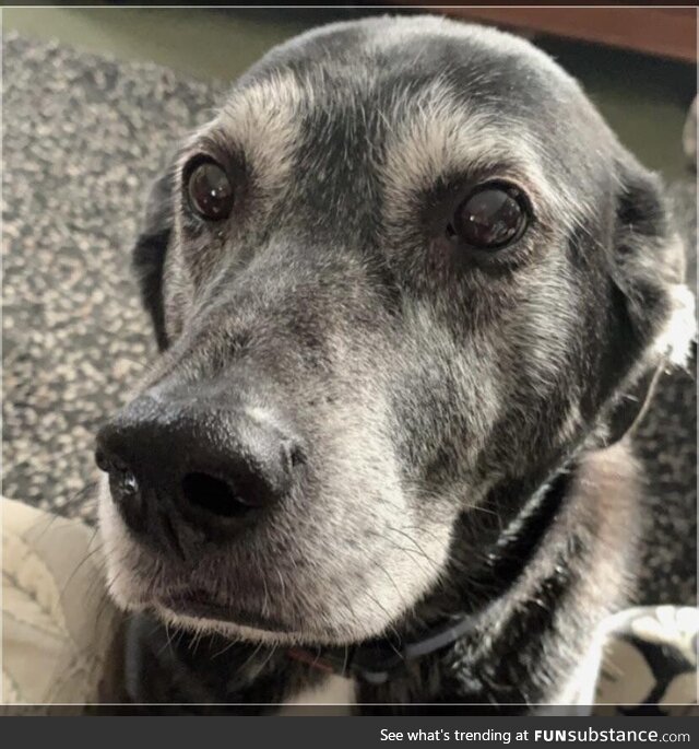 Our old pal