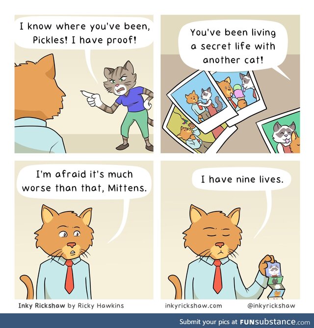 Tom cat