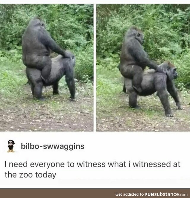 That's called riding, alright!